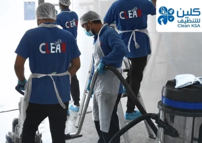 cleanksa12